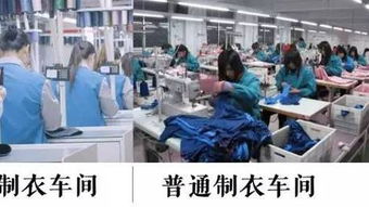 服裝行業(yè)哀鴻遍野，這家中國(guó)企業(yè)卻火遍全球